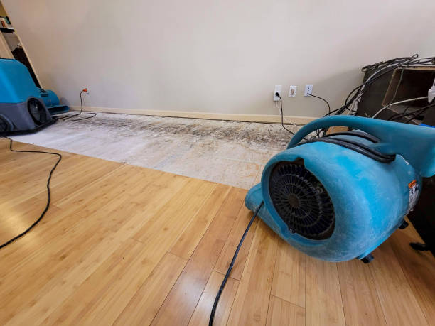 Professional Water Damage Repair technician working in Glenns Ferry, ID